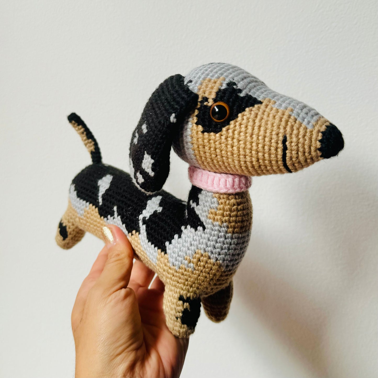 Roberto Perro salchicha