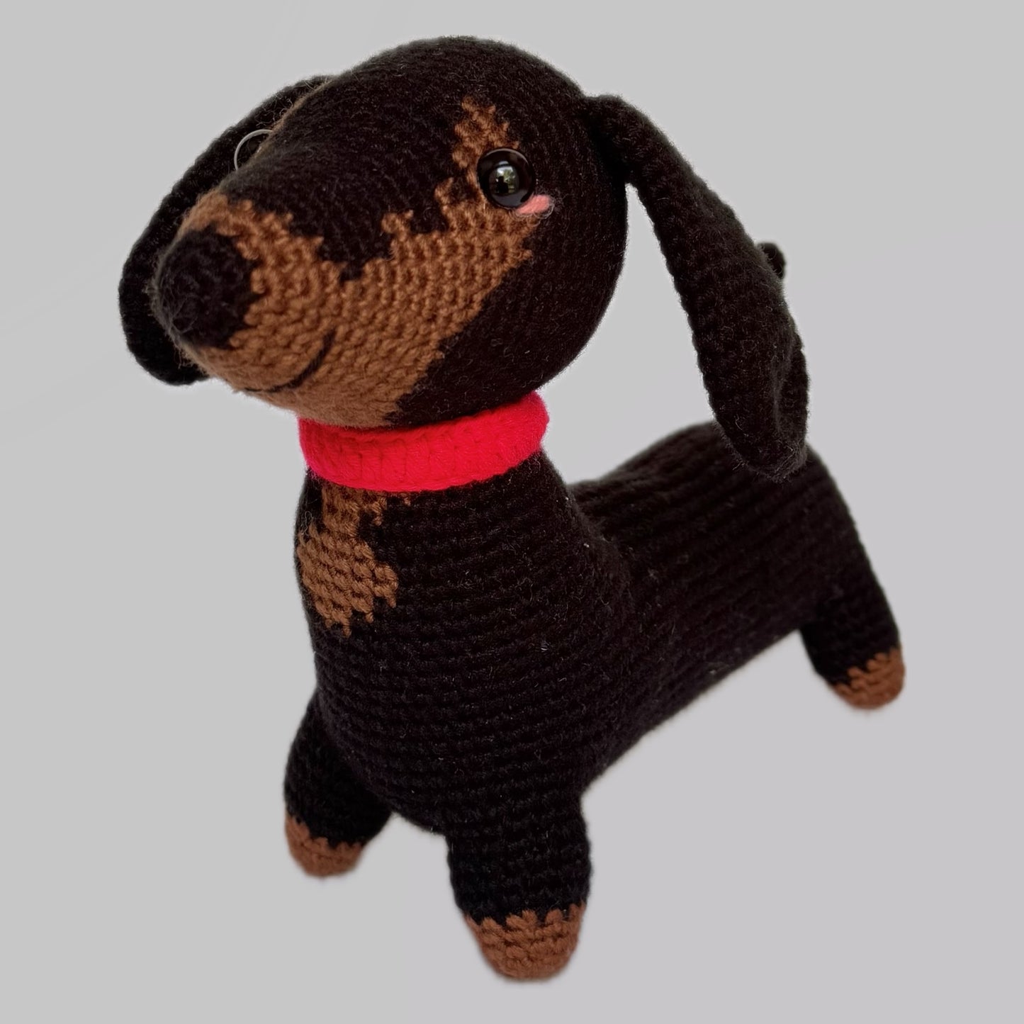 Roberto Perro salchicha