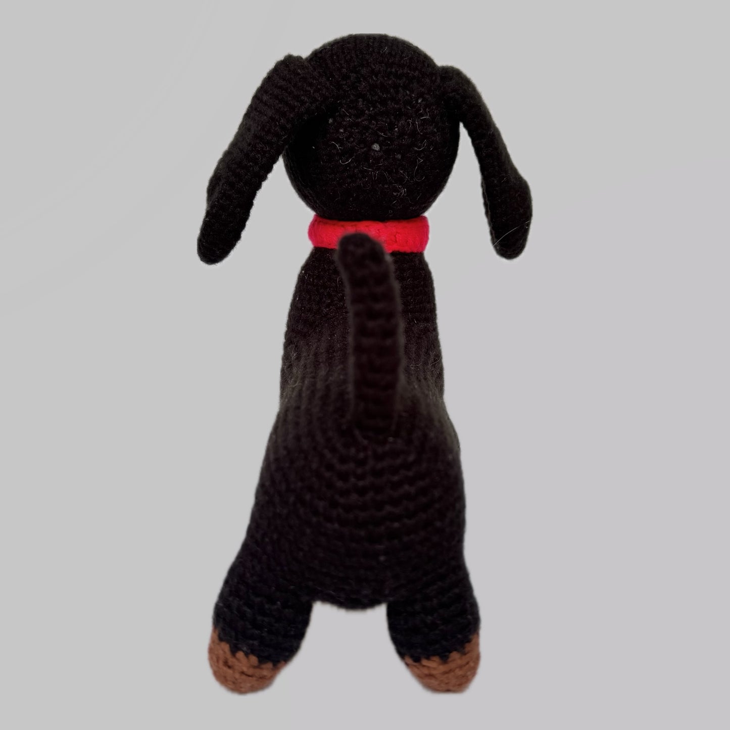 Roberto Perro salchicha