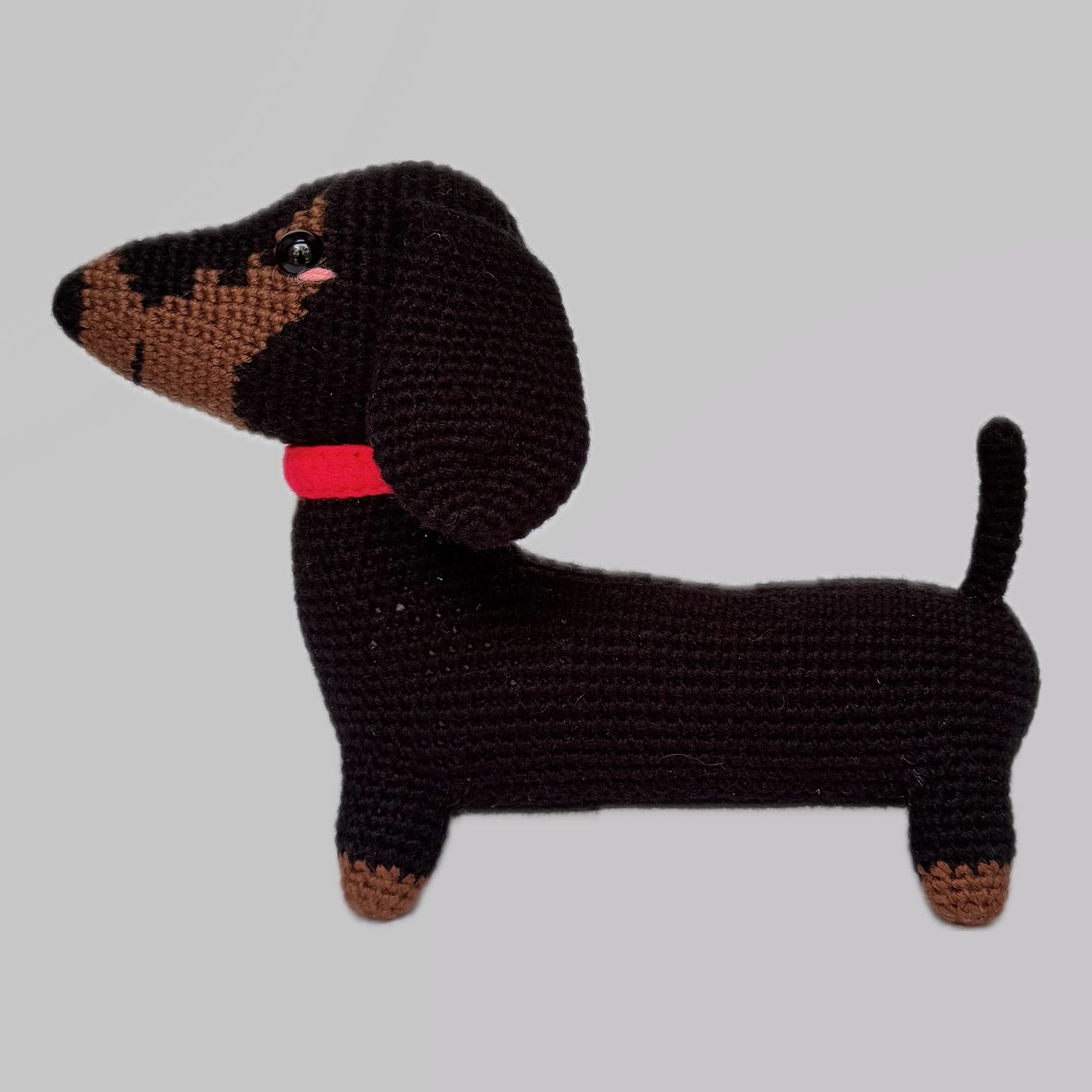 Roberto Perro salchicha