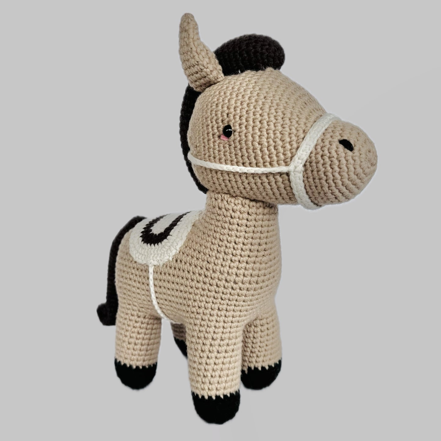 Rayo el Caballo