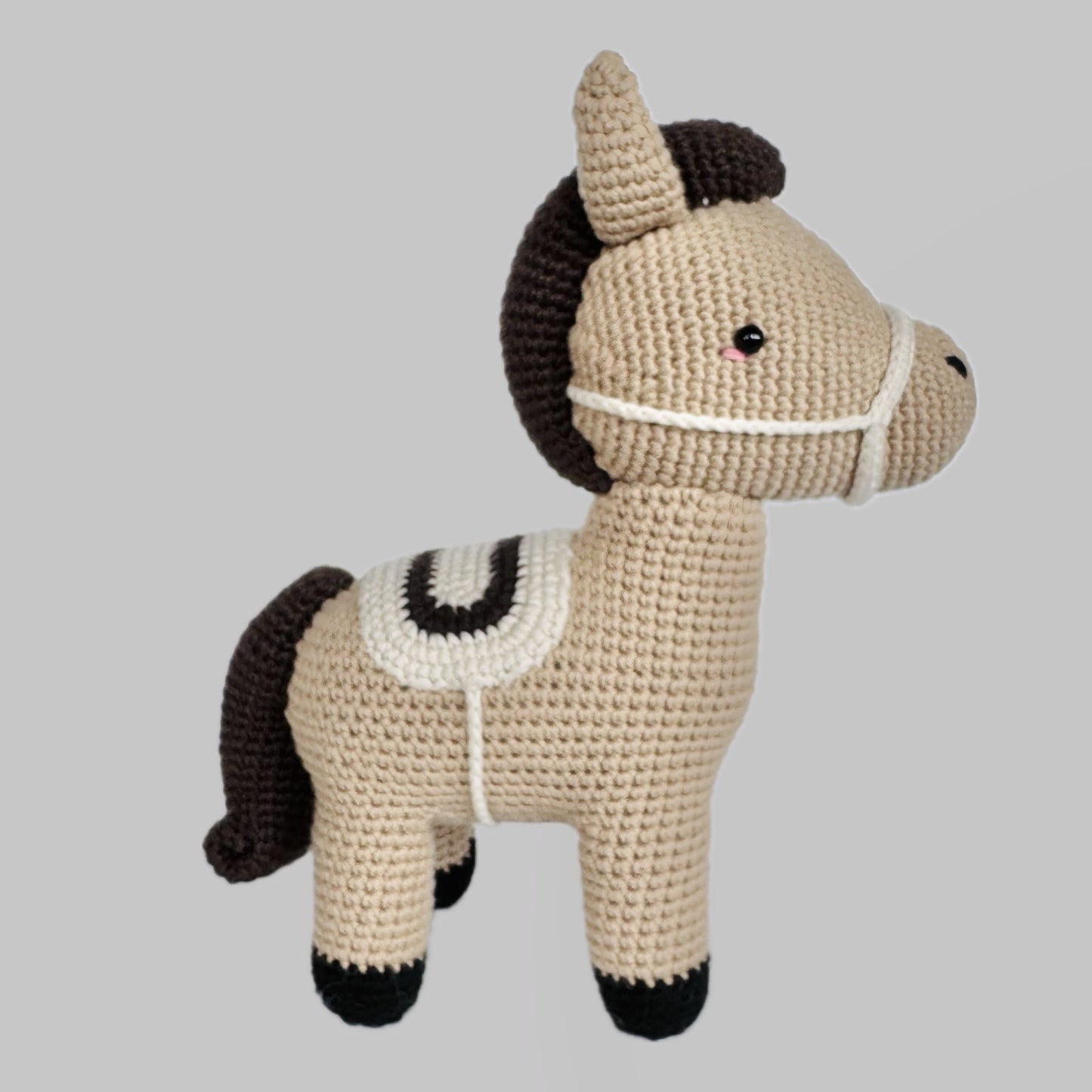 Rayo el Caballo