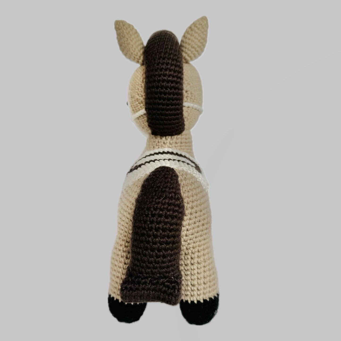 Rayo el Caballo