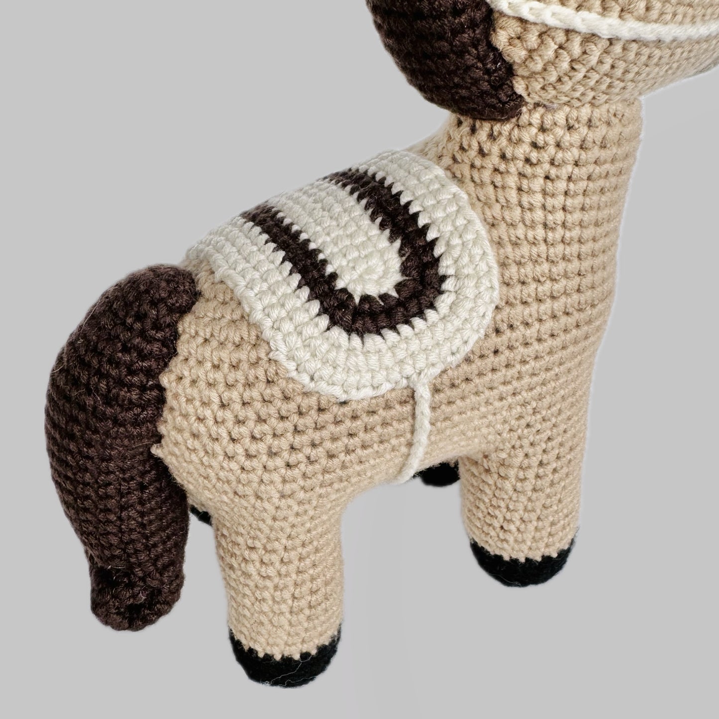 Rayo el Caballo