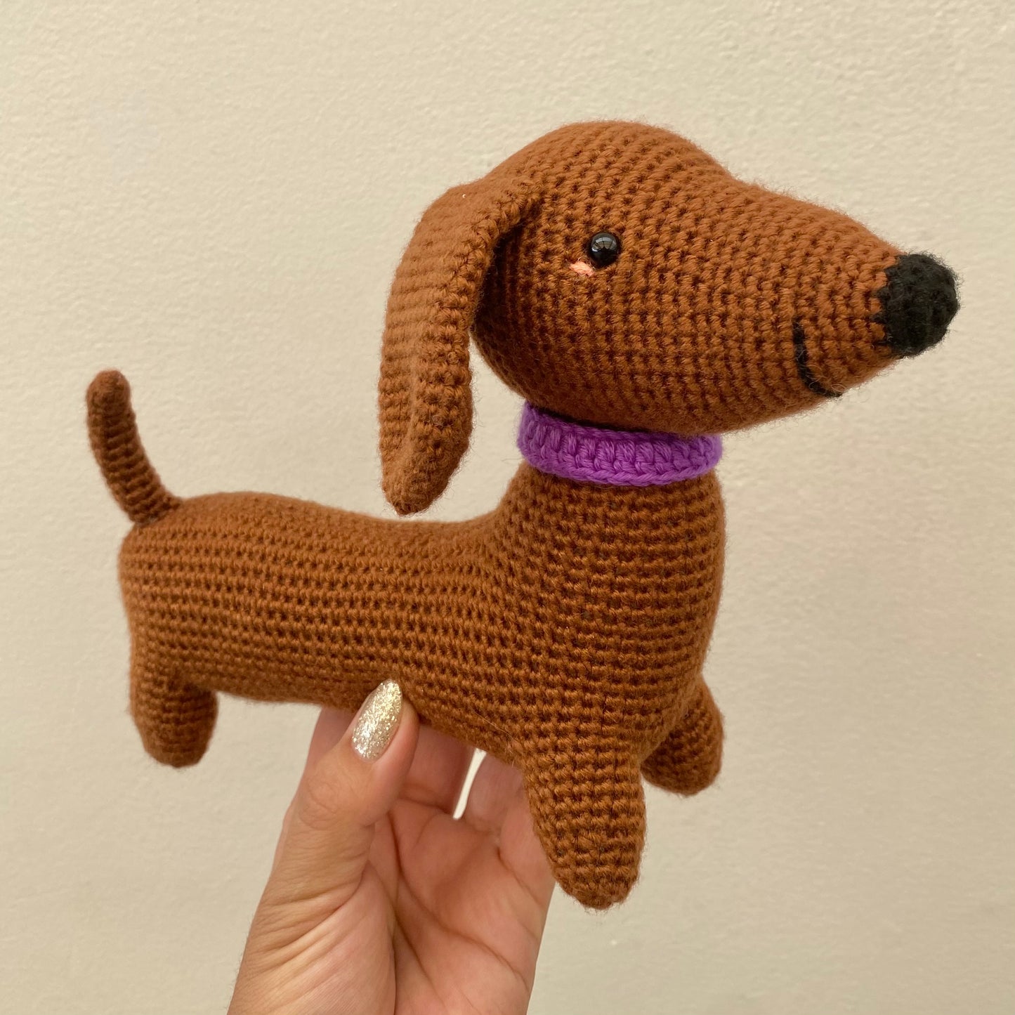 Roberto Perro salchicha