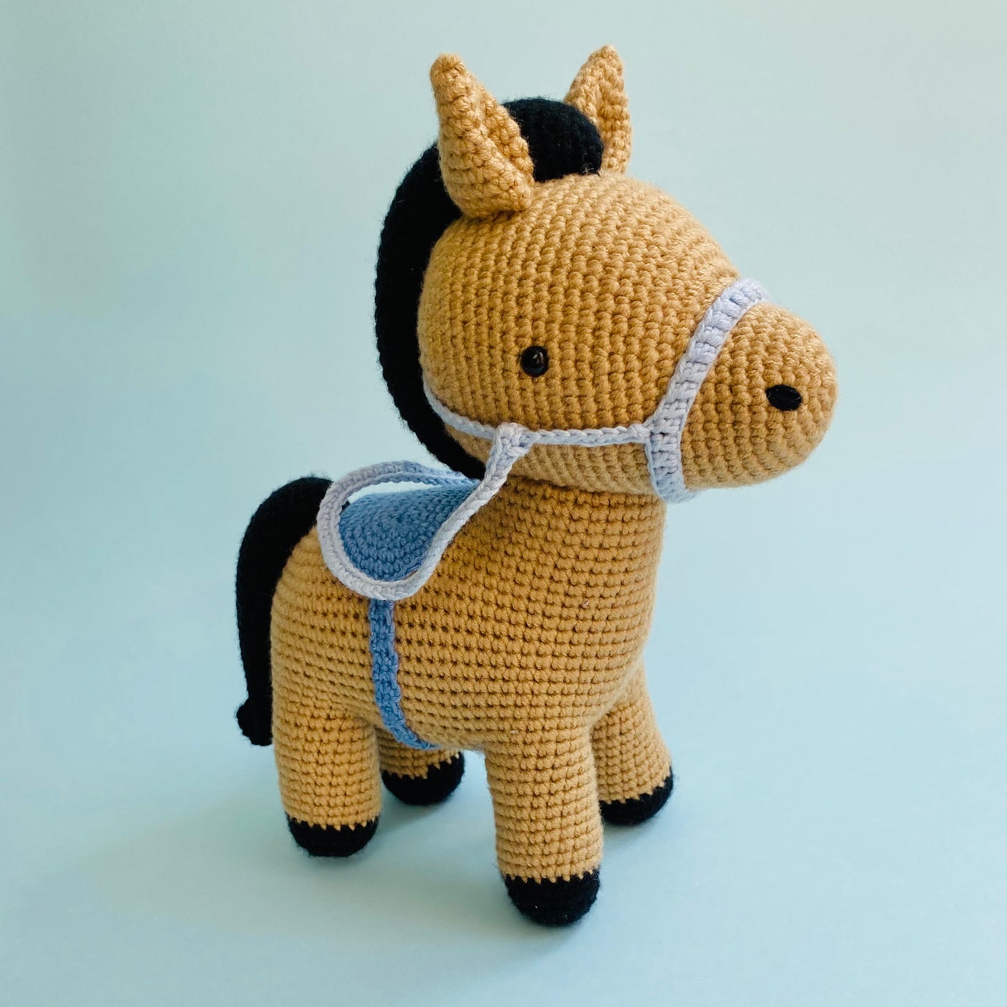 Rayo el Caballo